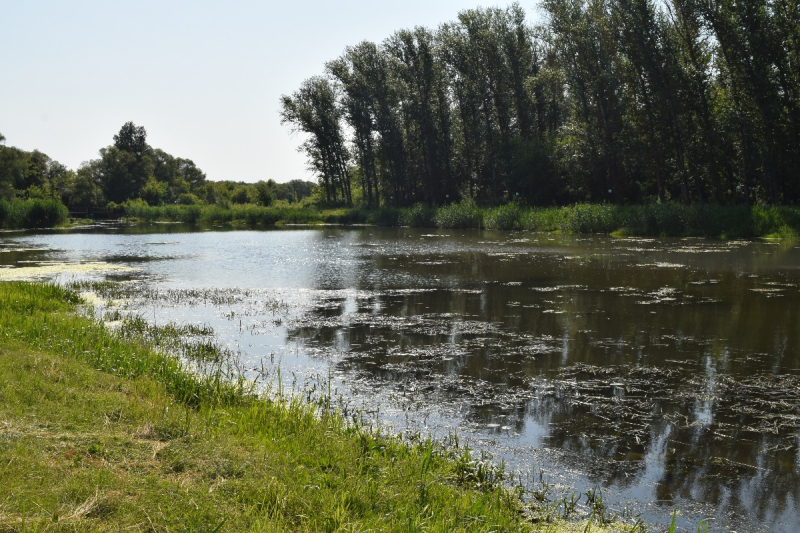 DSC_6261.JPG